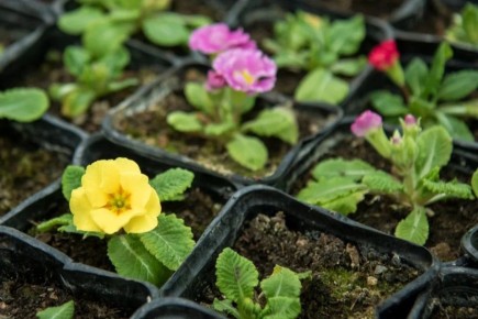 � ��� ������������ ������������ ���������� ������� ������ ��� ������� �� ��������� ������