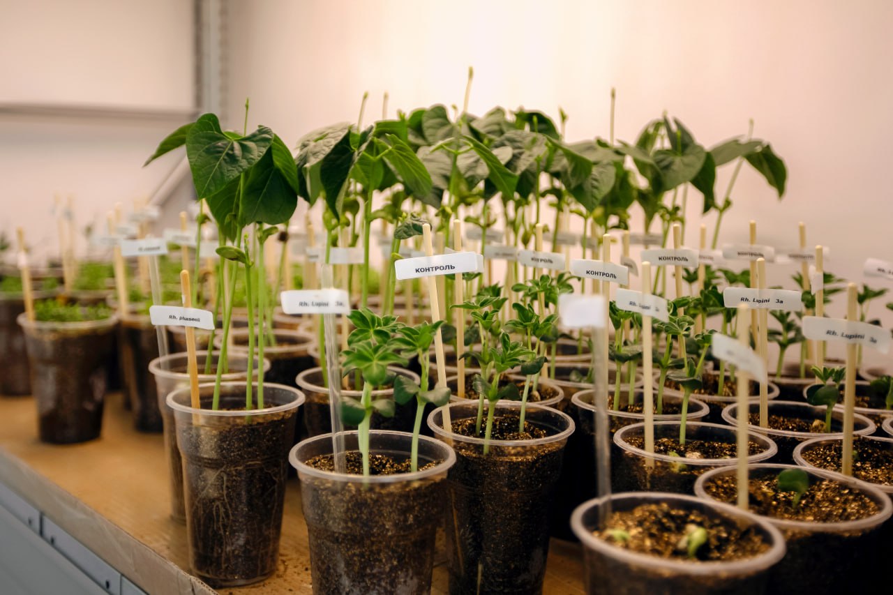 «Умное» сельское хозяйство – звучит пока еще не очень привычно для большинства людей, не связанных напрямую с этой важнейшей отраслью «Умное» сельское хозяйство – звучит пока еще не очень привычно для большинства людей, не связанных напрямую с этой важнейшей отраслью