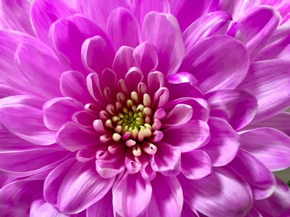 ������ ����, �������!. ����� ���� ���� ����� ����� �������� � ��������� ����� ���� � ������, ������ ���������, ������� ��������� ��� �� ����� ���������� � ����������� ����