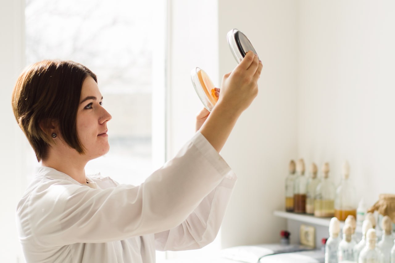 В Крыму создали биопрепараты для восстановления структуры почв и повышения урожайности сои