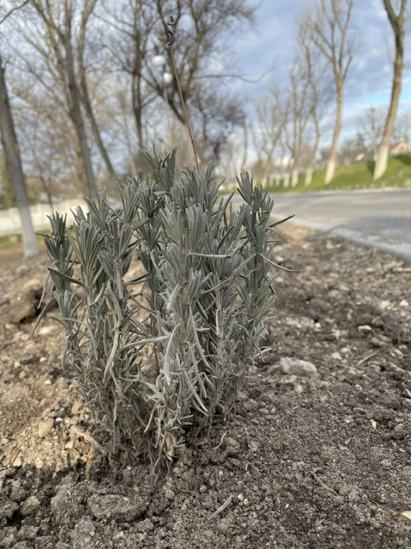 ������� ���������: ������� ���, ������� ������������!