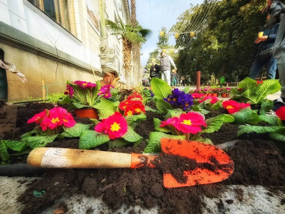 �������� ������� ������ ���������� � ����