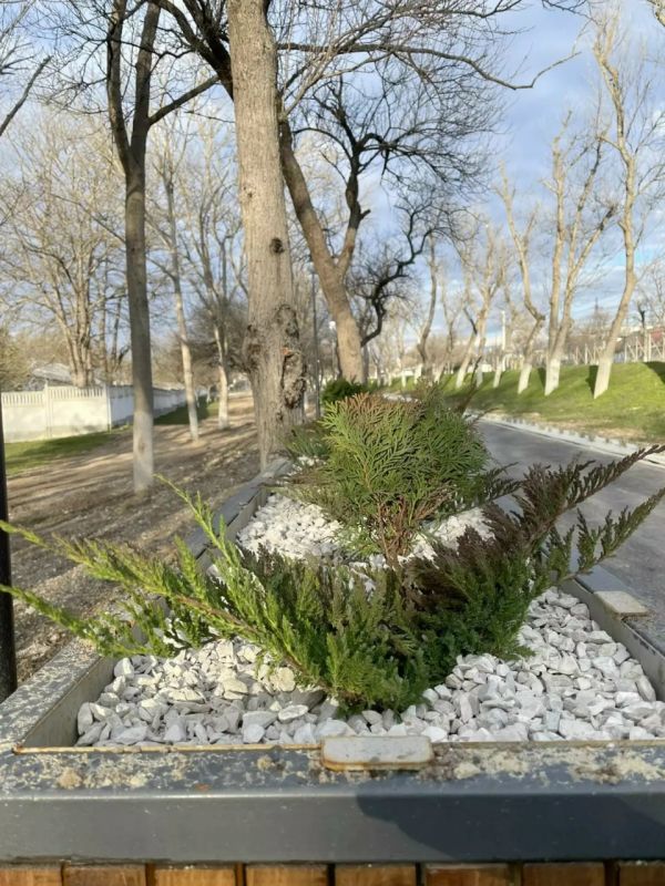 ������������ ������������ ���������� �������� �������� ��������