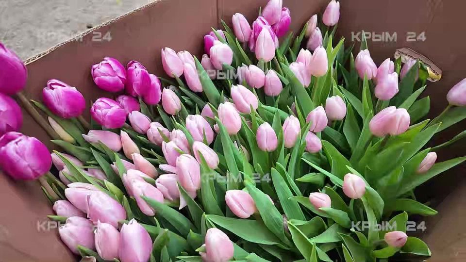 ������ � �������� ���������������� ������ �������� ��������� ����� ������� ���������