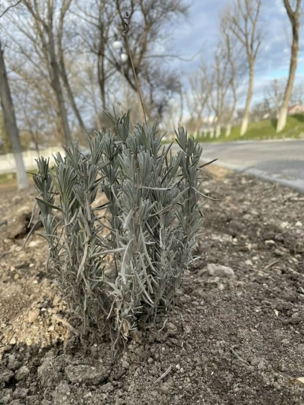 ������������ ������������ ���������� �������� �������� ��������