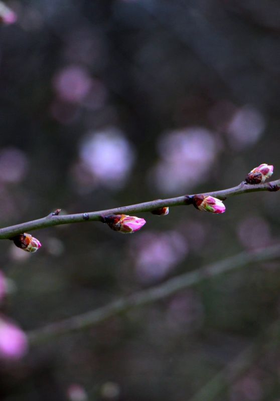 �������� ���������. ������� ����� � ������