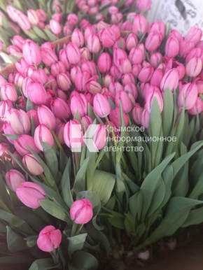 � ����� ����������� ���������� ����� 3,5 ��������� ��������� � ���