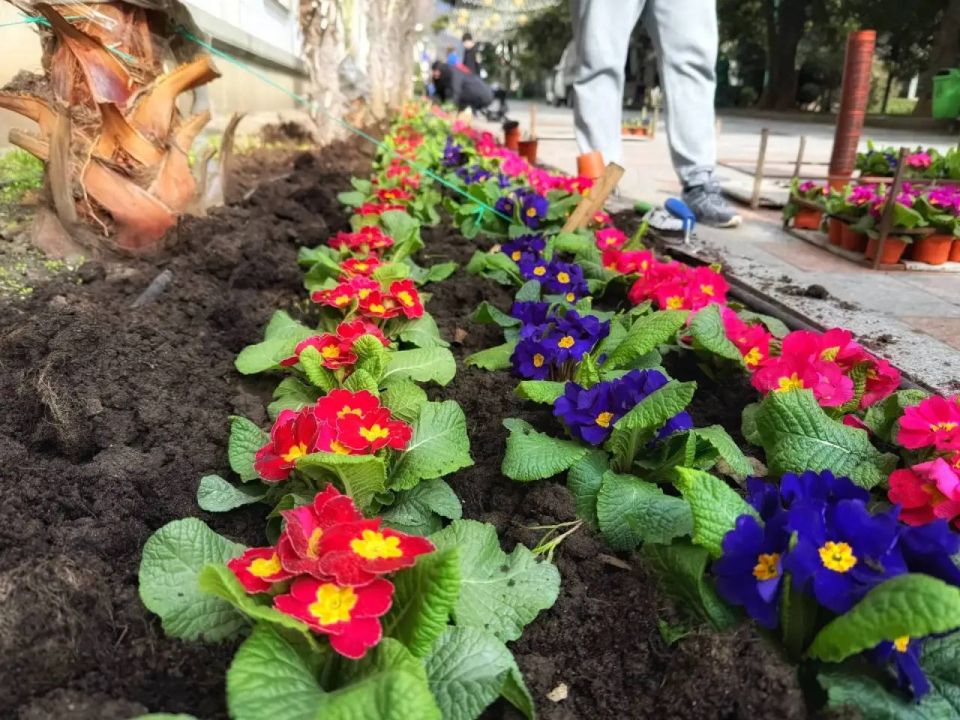 � ���� ���������� �������� ������� ������