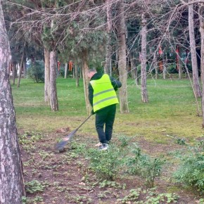 ���������� ���� � ������ ��������� ������������� ���������