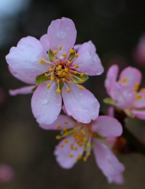 �������� ���������. ������� ����� � ������