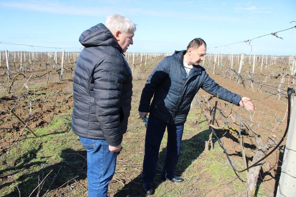 Сотрудники отдела по развитию сельского хозяйства администрации Сакского района продолжают рабочие визиты на сельскохозяйственные предприятия нашего района Сотрудники отдела по развитию сельского хозяйства администрации Сакского района продолжают рабочие визиты на сельскохозяйственные предприятия нашего района