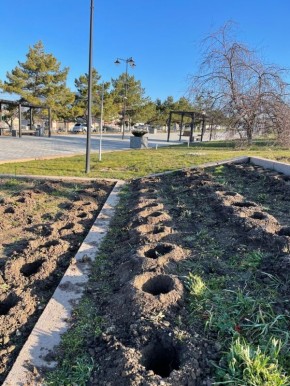 ������������ ������������ ���������� �������� �������� ��������