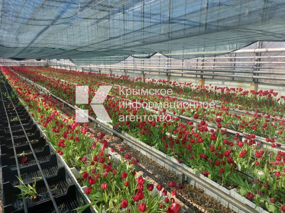 ���������� �������� ��� ������� � ����� �������� � �������� �������