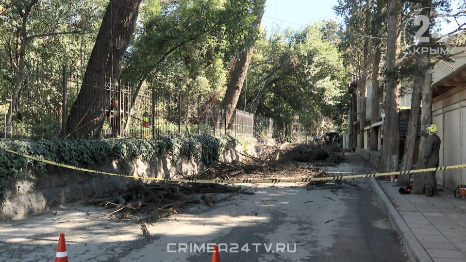 ����������� ������������ ������� ������� ������� � ������ ������