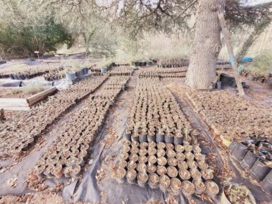 � ������������� ����������� ������� ����� ������� ����� �������� �������������� �������������