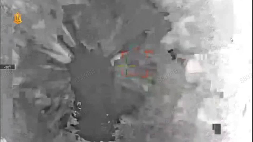 ����� ���������� ��������� �������� ��������� "�����" � ������ ����