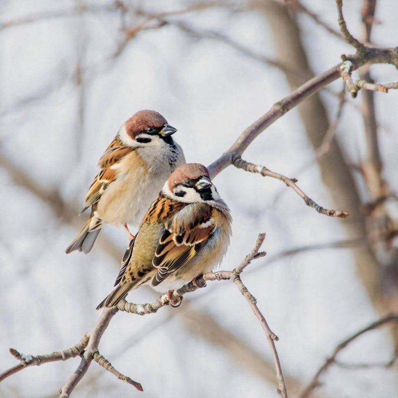 ����� ������ ��� ������� � ������ ����� 5 �����