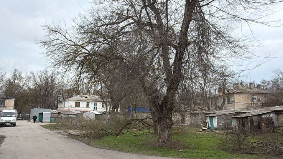 Уход за зелеными насаждениями — обязательная часть общего содержания городских территорий Уход за зелеными насаждениями — обязательная часть общего содержания городских территорий