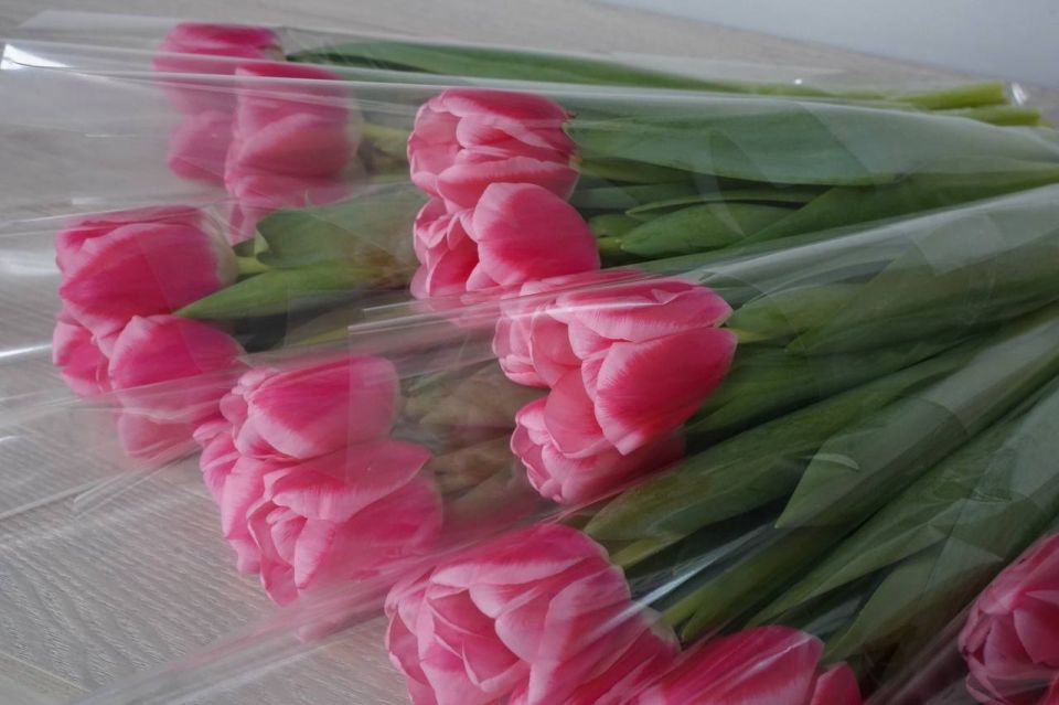 ��������� ��������: ������� �� ���������� �������� ��������� ���������� ������� �������� �������� � ������������ ������ �� ����� � ��� ������������� ������ ������ ���������� ������� � �������� � ������ ����������...