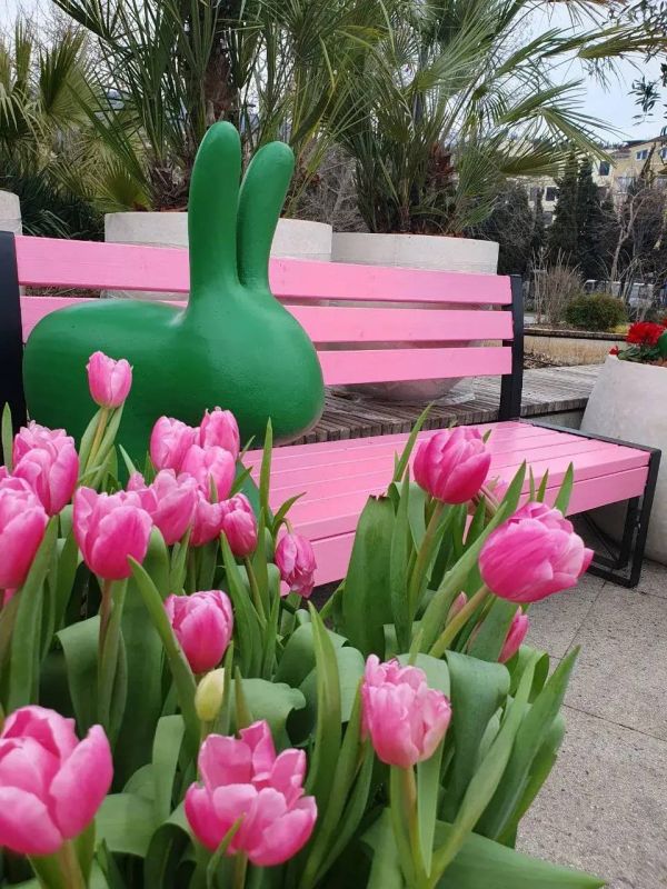 ����� ��������: ����� ���������� �������� ������ ������ ��������� ����, ������!