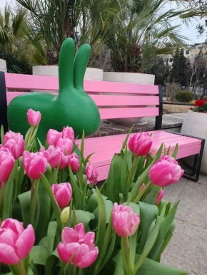 ����� ��������: ����� ���������� �������� ������ ������ ��������� ����, ������!