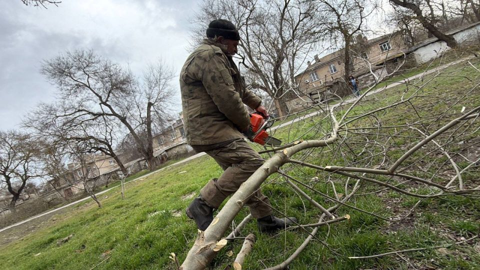 Уход за зелеными насаждениями — обязательная часть общего содержания городских территорий Уход за зелеными насаждениями — обязательная часть общего содержания городских территорий