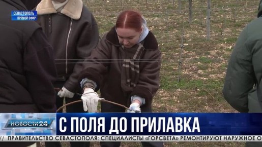 250 ����� ��������� ���� ������ ��������� ������������