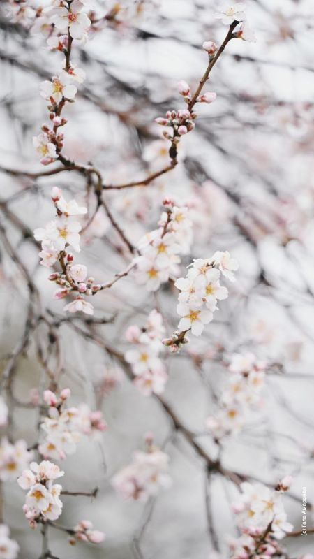 ���������� �������� �� ��� �������