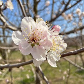 ������� ������ � ����� �� 5 �����