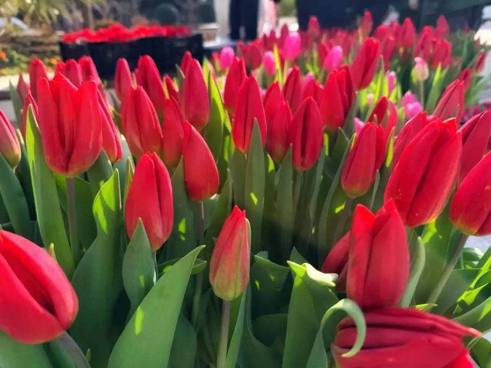 ����� ��������: � ��� ���� ������� � ������ ��������� ��������� �� ������������ ����� ������ �� ������� ��������� ����������� ��������� ��������, ��������� � ����� ������! ����� ���������� ����� ��������� ��������...