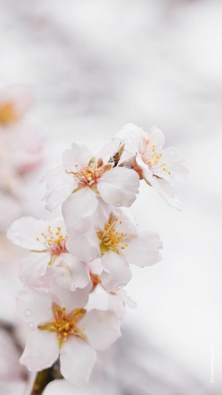 ���������� �������� �� ��� �������