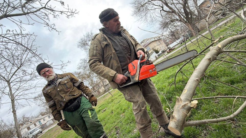 Уход за зелеными насаждениями — обязательная часть общего содержания городских территорий Уход за зелеными насаждениями — обязательная часть общего содержания городских территорий