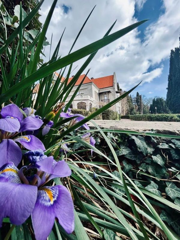 � ���� �������� ����� ���������� ��������� ��� ���, ��� ����� ������ ������ � �������� ���� � ����� �������