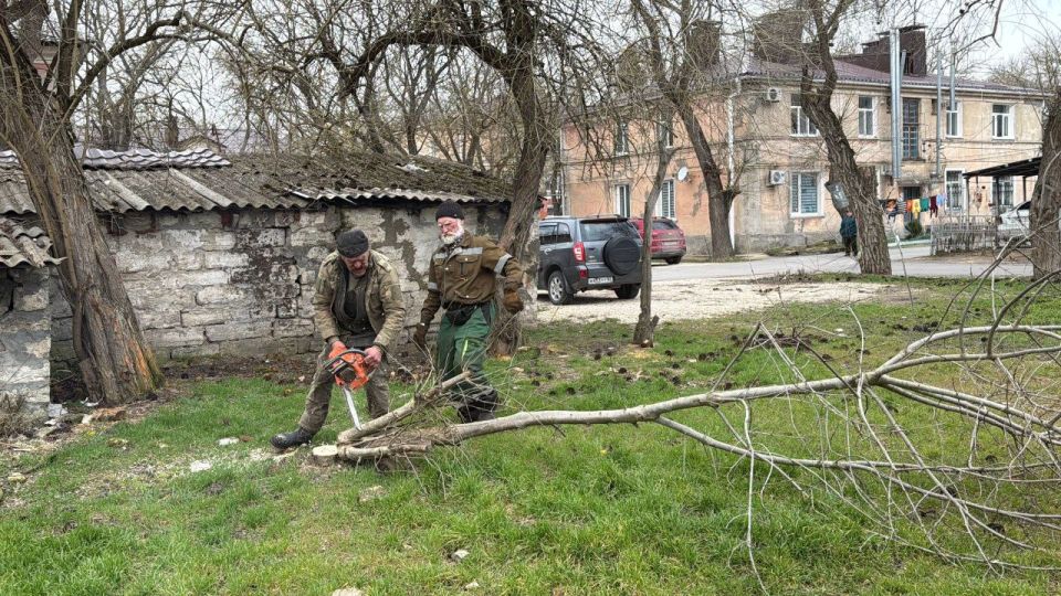 Уход за зелеными насаждениями — обязательная часть общего содержания городских территорий Уход за зелеными насаждениями — обязательная часть общего содержания городских территорий