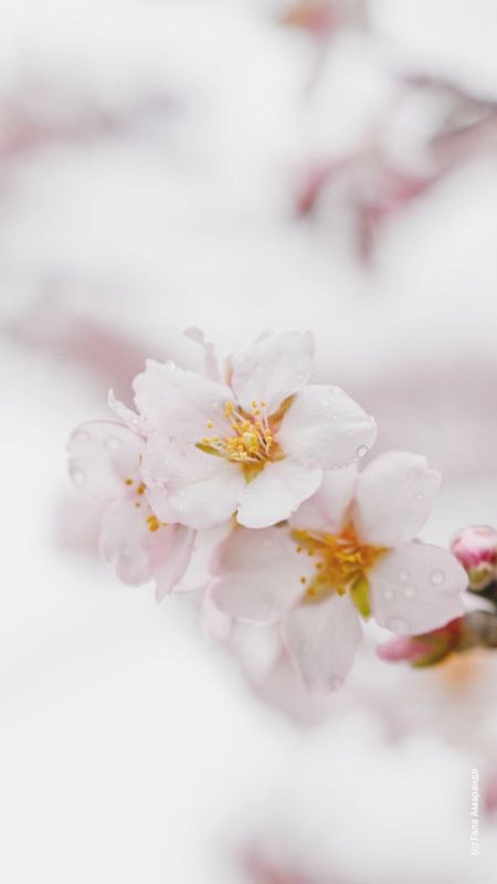 ���������� �������� �� ��� �������