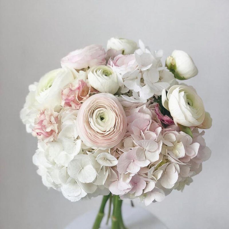 ���-������� ������� ������� ��������� �������� ������� 2026 ����