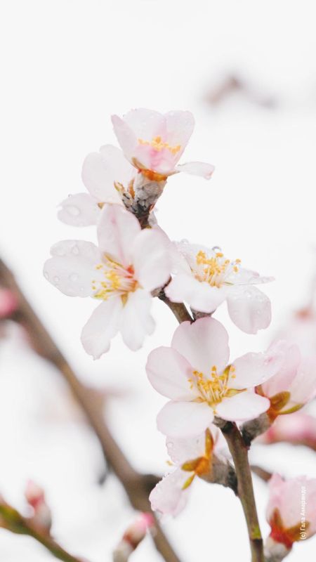 ���������� �������� �� ��� �������