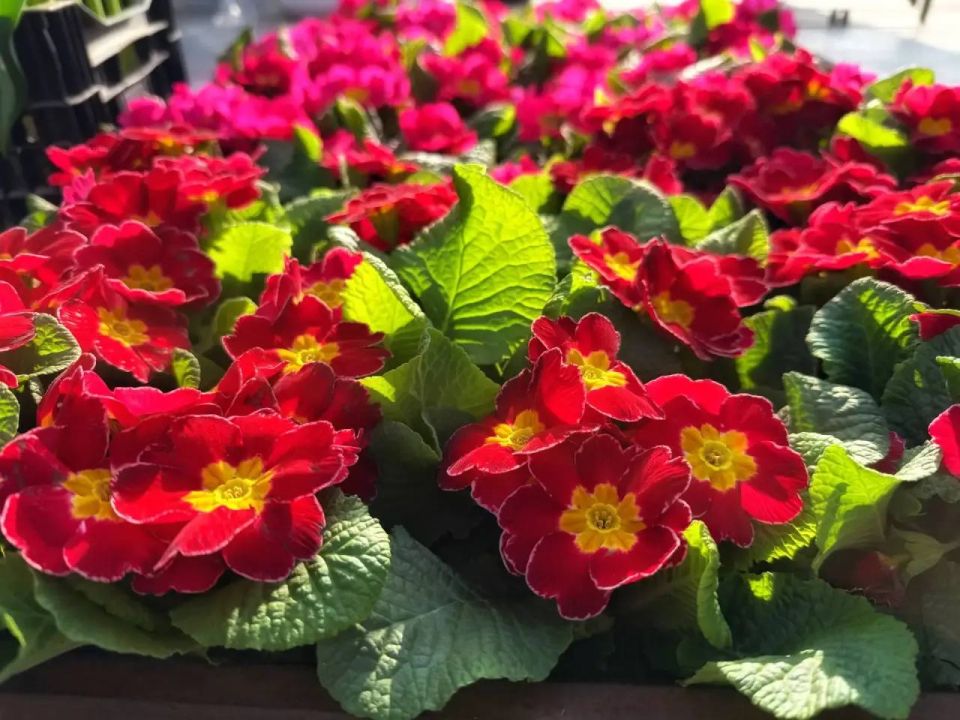 ����� ��������: � ��� ���� ������� � ������ ��������� ��������� �� ������������ ����� ������ �� ������� ��������� ����������� ��������� ��������, ��������� � ����� ������! ����� ���������� ����� ��������� ��������...