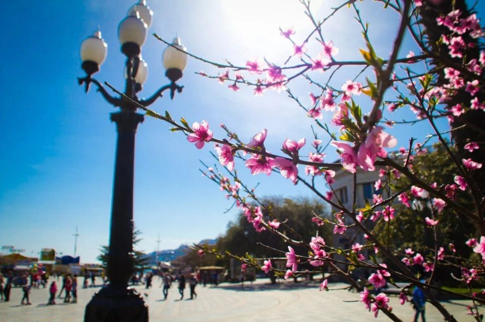 � ���� �������� ����� ���������� ��������� ��� ���, ��� ����� ������ ������ � �������� ���� � ����� �������