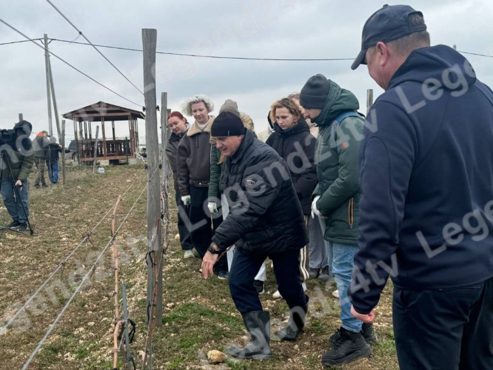 Больше полутора тонн винограда собрали севастопольские студенты на учебном полигоне за прошлый год Больше полутора тонн винограда собрали севастопольские студенты на учебном полигоне за прошлый год
