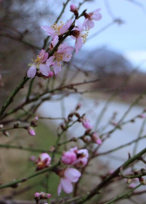 ����� � �����. @sandro_crimea