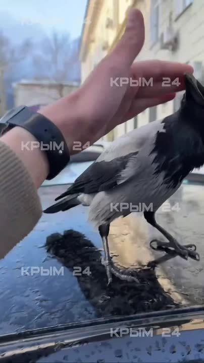 �� ������ ������: ����� ������ ������ �������� � ������ ����