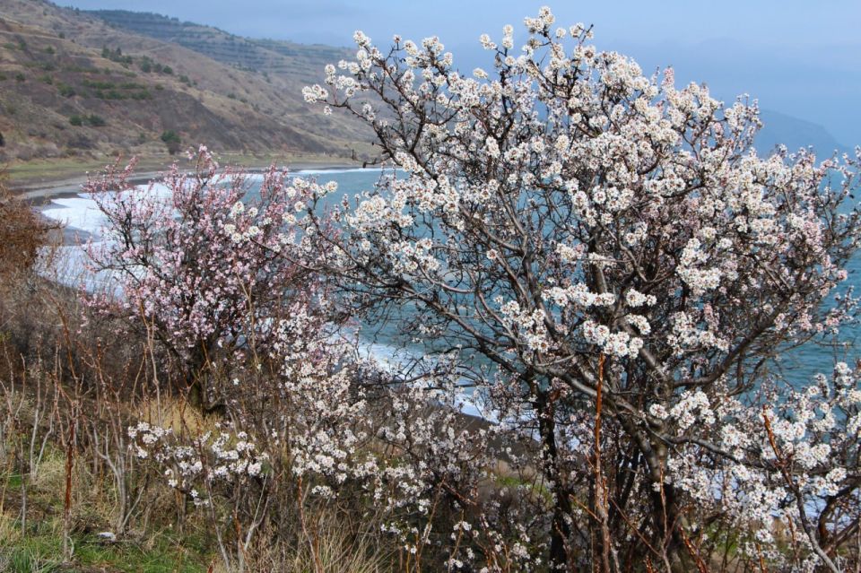 �������� �����. @sandro_crimea