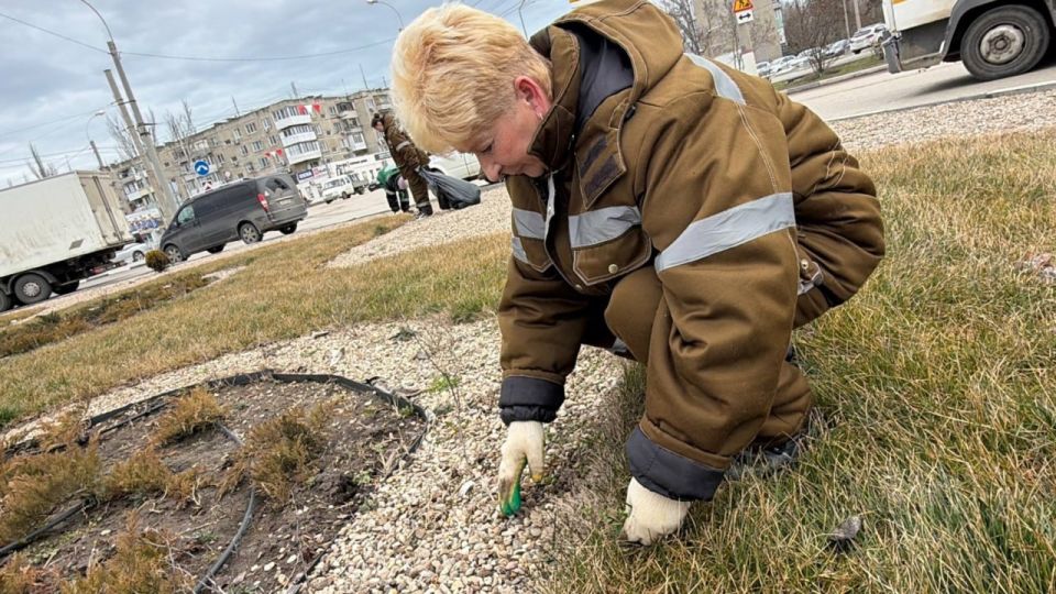 Сотрудники Службы городского хозяйства продолжают системную работу по содержанию зеленых зон Сотрудники Службы городского хозяйства продолжают системную работу по содержанию зеленых зон