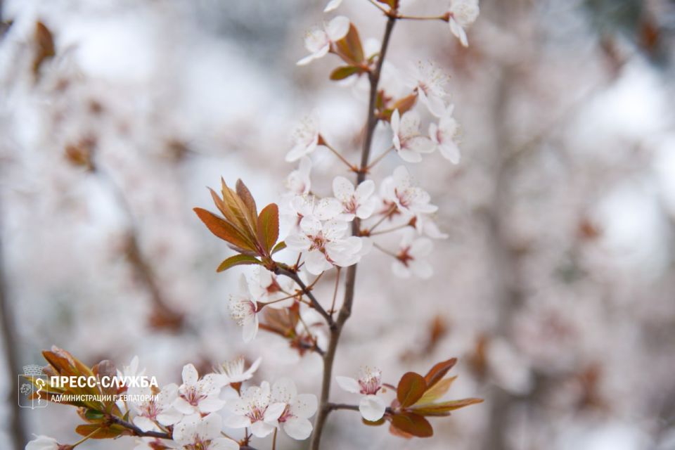 ������ ����, ���������!. ����������� ������� ���������� ������� �� +8��