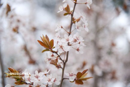 ������ ����, ���������!. ����������� ������� ���������� ������� �� +8��