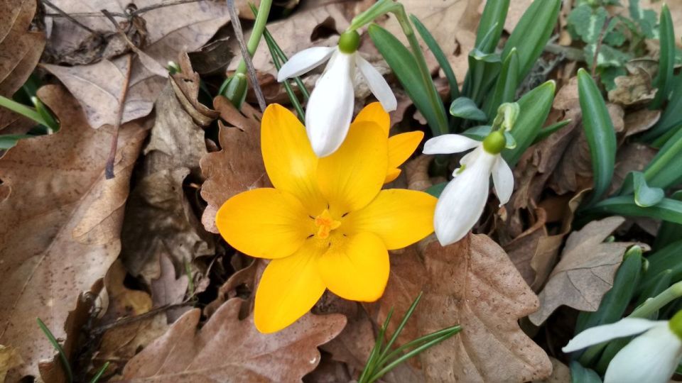 � ��������� ������������ ���� ������ ����� �������