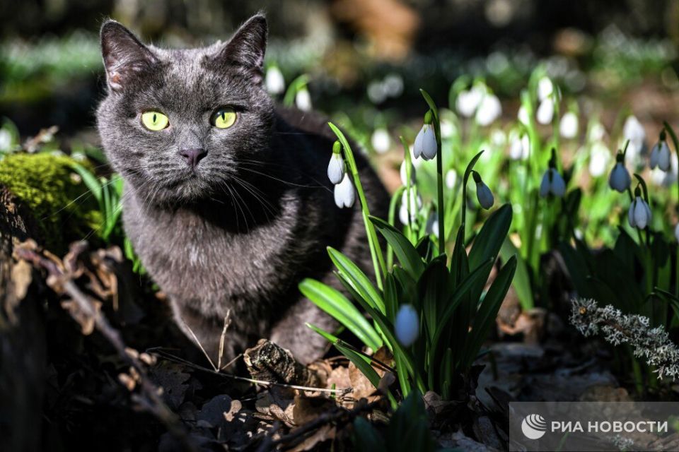 ������� ������ � ����� �� �������