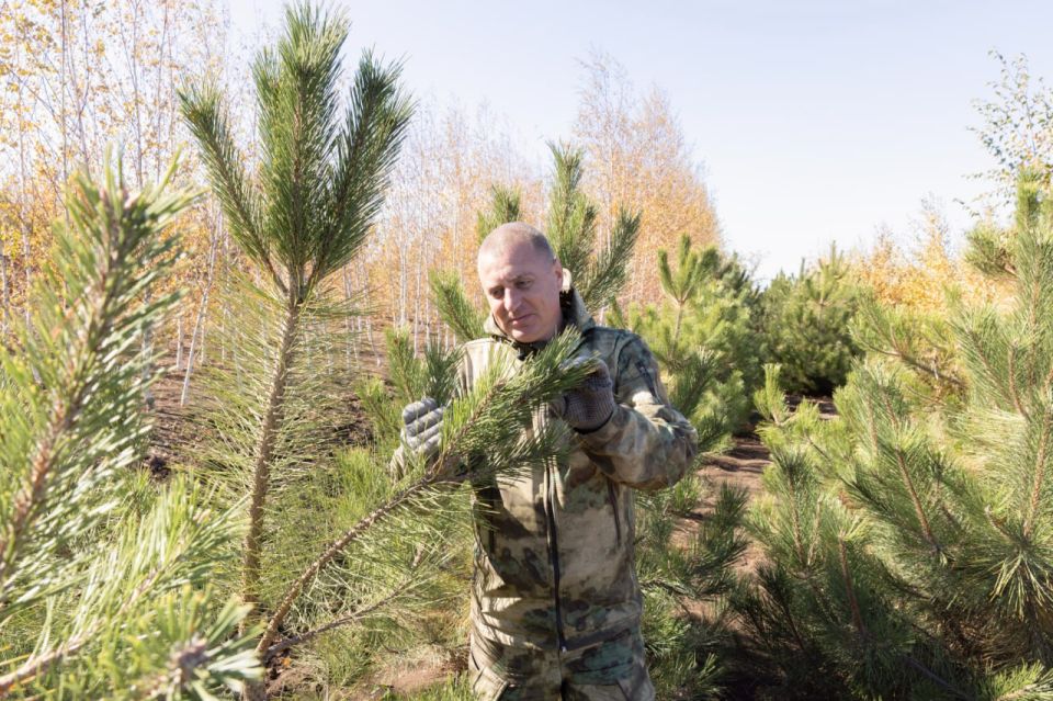 � ����� �������� ����� �� ������������ ����������� � ��������� ��������� � ���������� �����