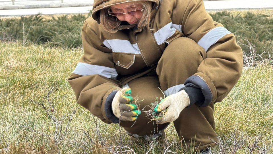 Сотрудники Службы городского хозяйства продолжают системную работу по содержанию зеленых зон Сотрудники Службы городского хозяйства продолжают системную работу по содержанию зеленых зон